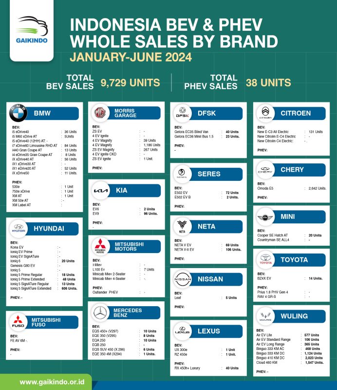 Indonesia BEV & PHEV Whole Sales by Brand January – June 2024