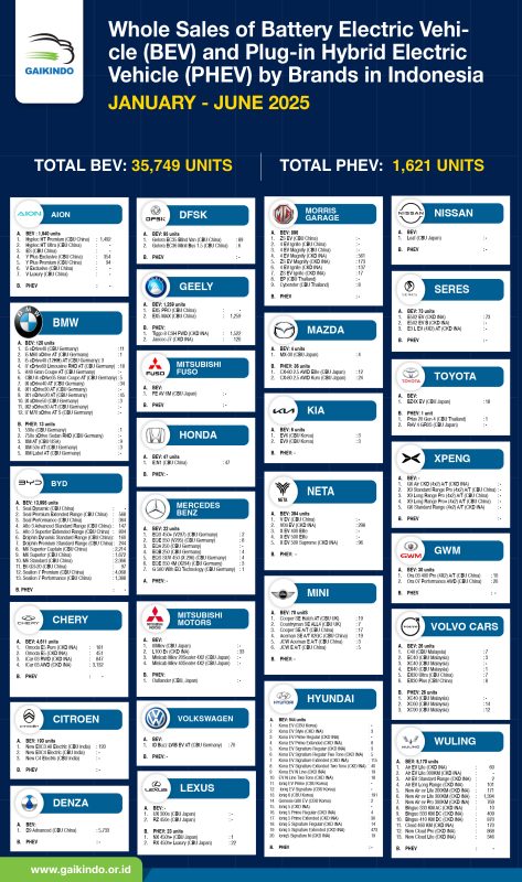 Whole Sales of Battery Electric Vehicle (BEV) and Plug-in Hybrid Electric Vehicle (PHEV) by Brands in Indonesia, January-June 2025